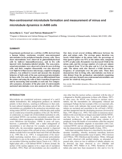 Non-centrosomal microtubule formation and measurement of minus