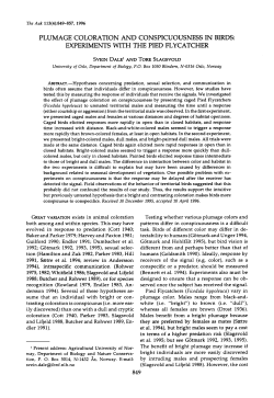 plumage coloration and conspicuousness in birds: experiments with