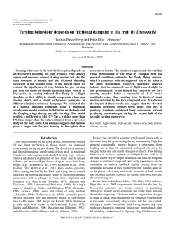 Turning behaviour depends on frictional damping in the fruit fly