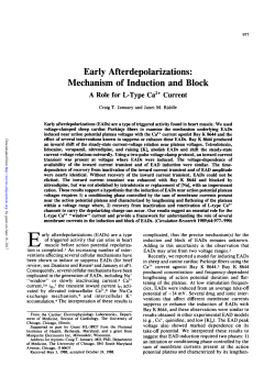 Early Afterdepolarizations: Mechanism of Induction and Block