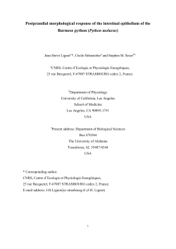 PDF only - at www.arxiv.org.