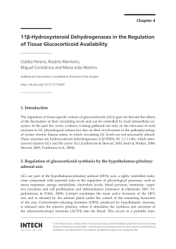 11beta-HSD in the Regulation of Tissue Glucocorticoid Availability