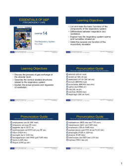 DeansRespiratoryAnatormy