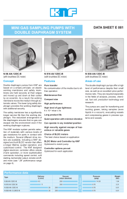 MINI GAS SAMPLING PUMPS WITH DOUBLE DIAPHRAGM SYSTEM