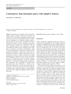 Centromeres: long intergenic spaces with adaptive