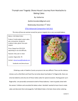Shona House`s Journey from Heartache to Baking Cakes