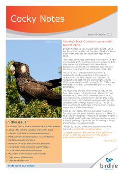 Cocky Notes 18 Oct 2012