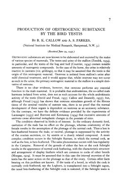 production of oestrogenic substance by the bird testis