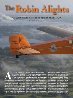 The Robin Alights at Sun `n Fun