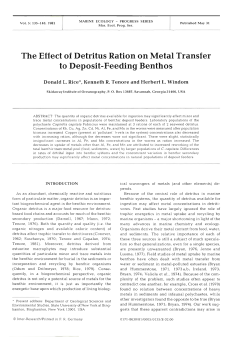 The Effect of Detritus Ration on Metal Transfer to Deposit