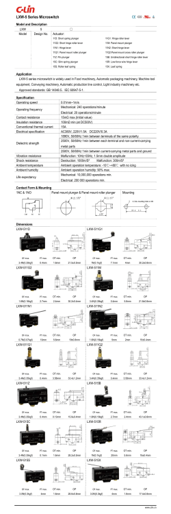 LXW-5 Series Microswitch