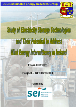 Study of Electricity Storage Technologies and Their Potential to