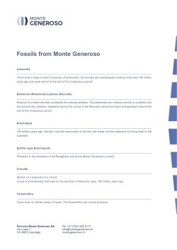 Fossils from Monte Generoso