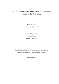 Fun at Work: Construct Definition and Perceived