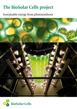 Bio Solar cells