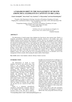 a paradigm shift in the management of musth among bull elephants