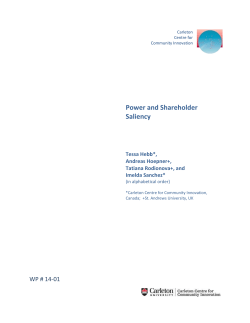 Power and Shareholder Saliency