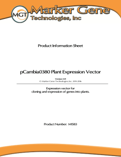 Product Information Sheet