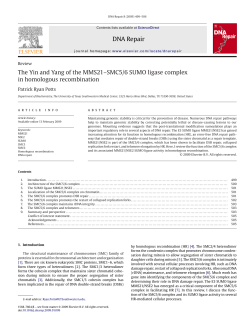 DNA Repair The Yin and Yang of the MMS21&ndash;SMC5