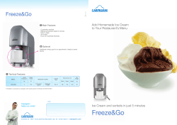 Add Homemade Ice Cream to Your Restaurant`s Menu Ice Cream