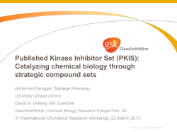 Kinase inhibitor screening