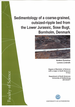 Sedimentology of a coarse-grained, outsized