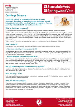 Cushing`s disease or hyperadrenocorticism, is more accurately