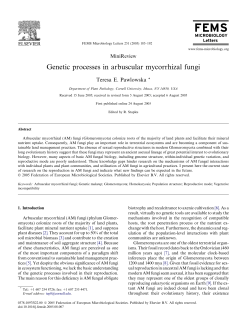 Genetic processes in arbuscular mycorrhizal fungi