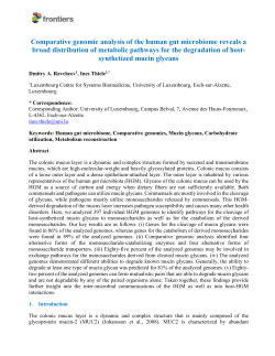 PDF only - at www.arxiv.org.