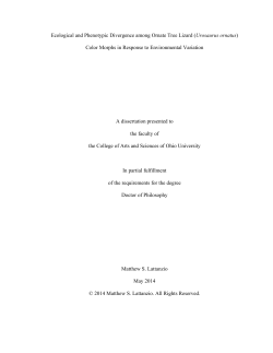 Ecological and Phenotypic Divergence among Ornate Tree Lizard