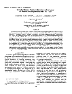 Newly Synthesized Proteins and Intratubular Compartments of the
