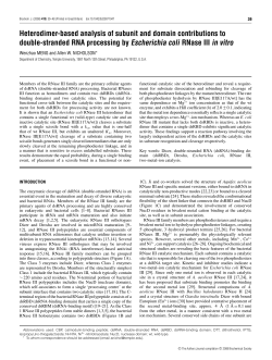 Heterodimer-based analysis of subunit and domain contributions to