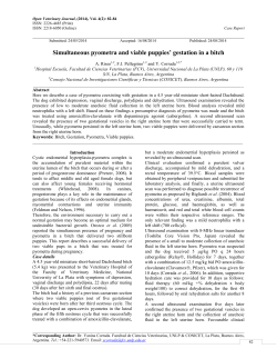 Simultaneous pyometra and viable puppies` gestation in a bitch