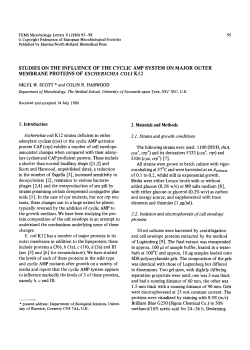 Studies on the influence of the cyclic AMP system on major outer