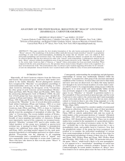 Spaulding and Flynn 2009