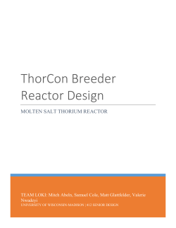 Senior Design Project: ThorCon Breeder Reactor Design
