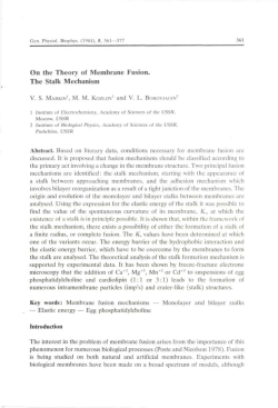 On the Theory of Membrane Fusion. The Stalk Mechanism