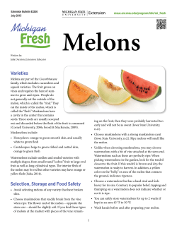 Melons - MSU Extension - Michigan State University