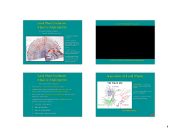 Ancestors of Land Plants