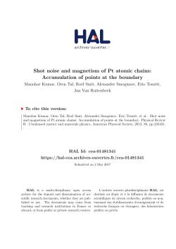 Shot noise and magnetism of Pt atomic chains - Hal-CEA