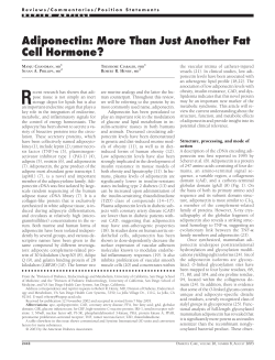 Adiponectin: More Than Just Another Fat Cell Hormone?