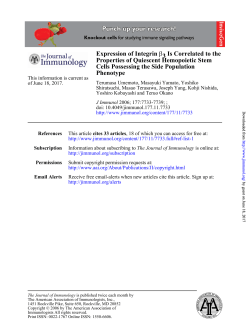 Phenotype Cells Possessing the Side Population Properties of