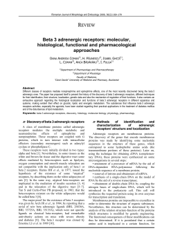 Beta 3 adrenergic receptors: molecular, histological