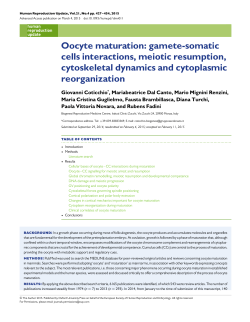 Oocyte maturation: gamete-somatic cells