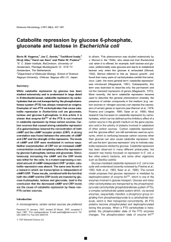 Catabolite repression by glucose 6