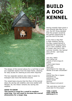 build a dog kennel - Home