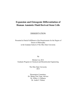 Expansion and Osteogenic Differentiation of Human Amniotic Fluid