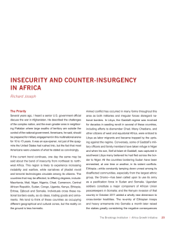 insecurity and counter-insurgency in africa