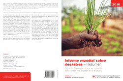 Informe mundial sobre desastres &ndash; Resumen
