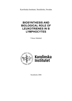 BIOSYNTHESIS AND BIOLOGICAL ROLE OF LEUKOTRIENES IN B